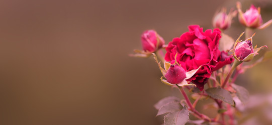 Similar image 22361773