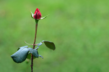 Similar image 22361774