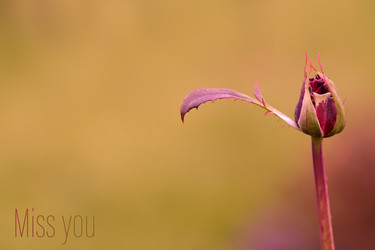 Similar image 22361788