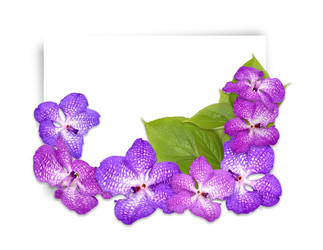 Similar image 22361831