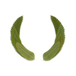 Similar image 22361846