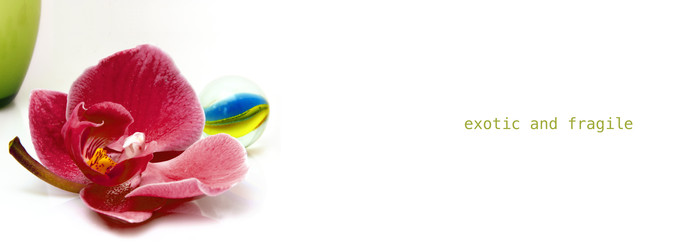 Similar image 22361861