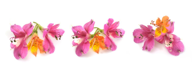 Similar image 22361877