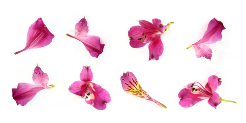 Similar image 22361891