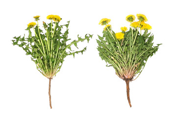 Similar image 22361893