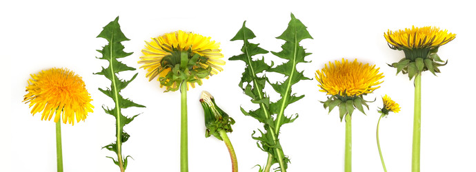 Similar image 22361907