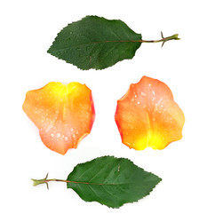 Similar image 22361952