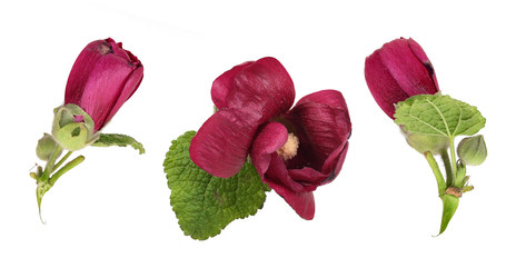 Similar image 22361968