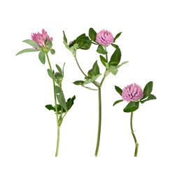 Similar image 22361969