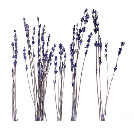 Similar image 22362013