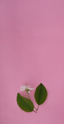 Similar image 22362028