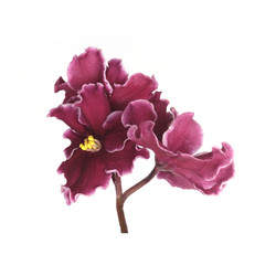 Similar image 22362042