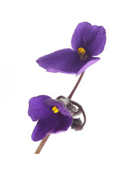 Similar image 22362043