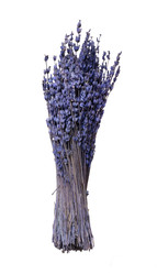 Similar image 22362058