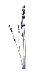 Similar image 22362059