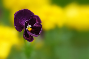 Similar image 22362088