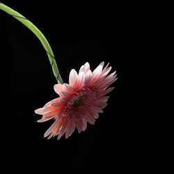 Similar image 22362103