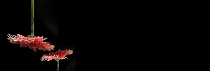 Similar image 22362104