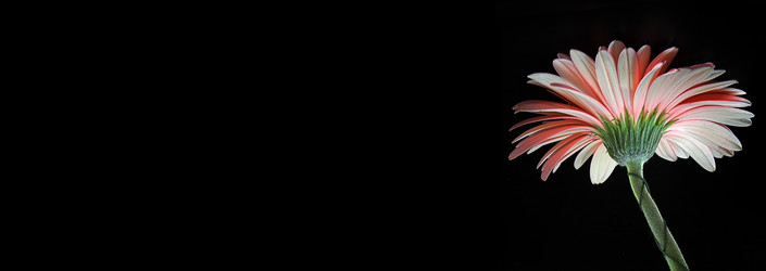 Similar image 22362118