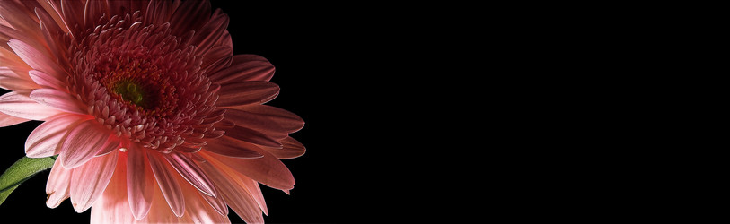 Similar image 22362119