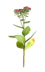 Similar image 22362136