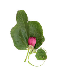 Similar image 22362150