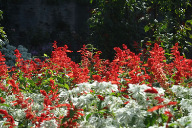 Similar image 22362164