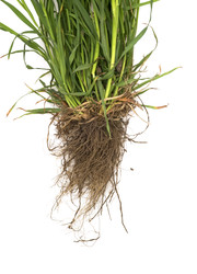 Similar image 22362179