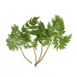 Similar image 22362180