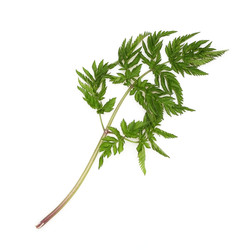 Similar image 22362195