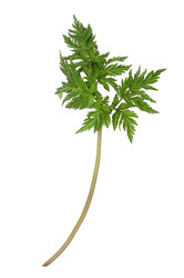 Similar image 22362196