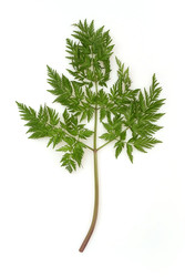 Similar image 22362209