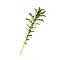 Similar image 22362226