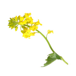 Similar image 22362354