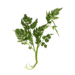 Similar image 22362357