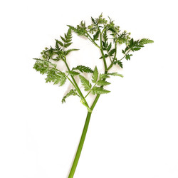 Similar image 22362370