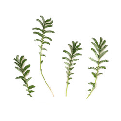 Similar image 22362372