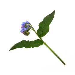 Similar image 22362373