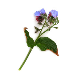 Similar image 22362385