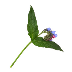 Similar image 22362386