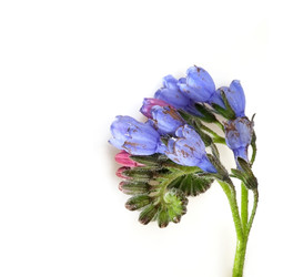 Similar image 22362387