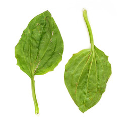 Similar image 22362400