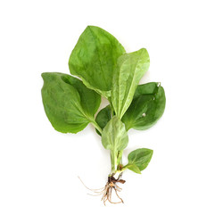 Similar image 22362417