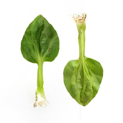 Similar image 22362432