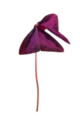 Similar image 22362433