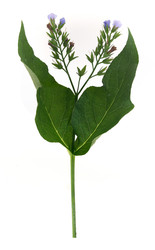 Similar image 22362446