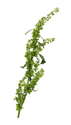 Similar image 22362461