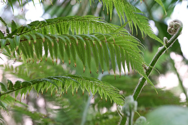 Similar image 22362490