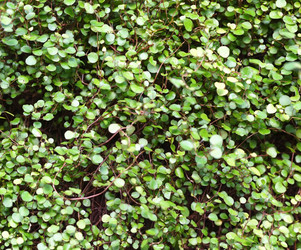 Similar image 22362491