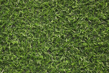 Similar image 22362506